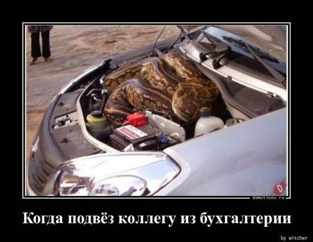 1589440043_demki-7.jpg