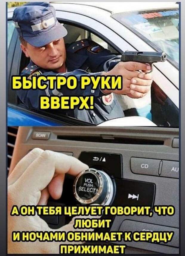 Новые мемы на сегодня