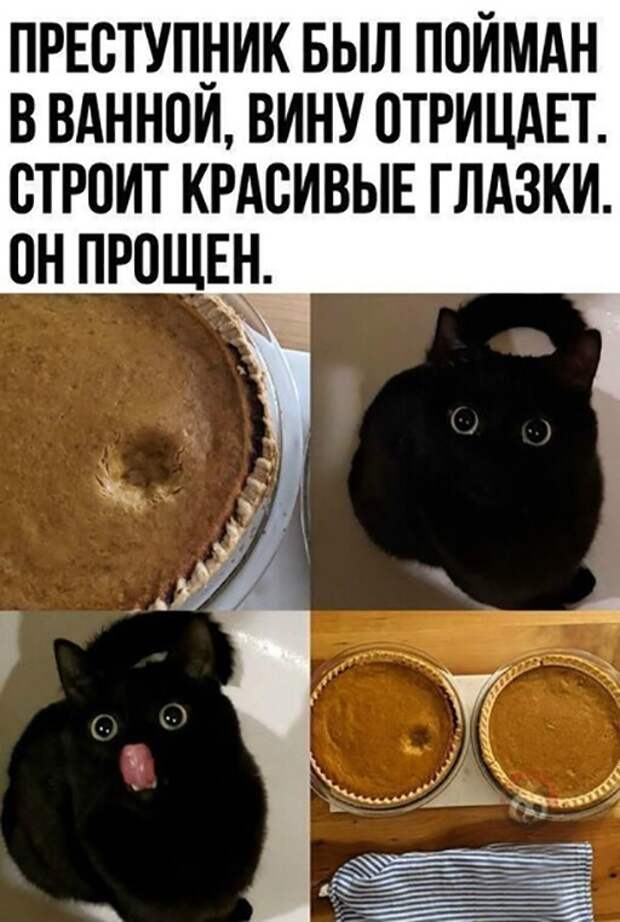 Смешные и познавательные картинки