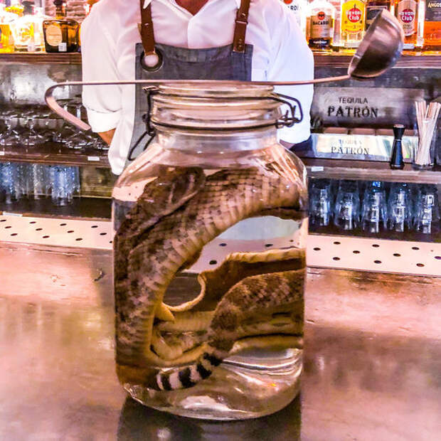 Venom Sotol at La Revolución in San Jose del Cabo.