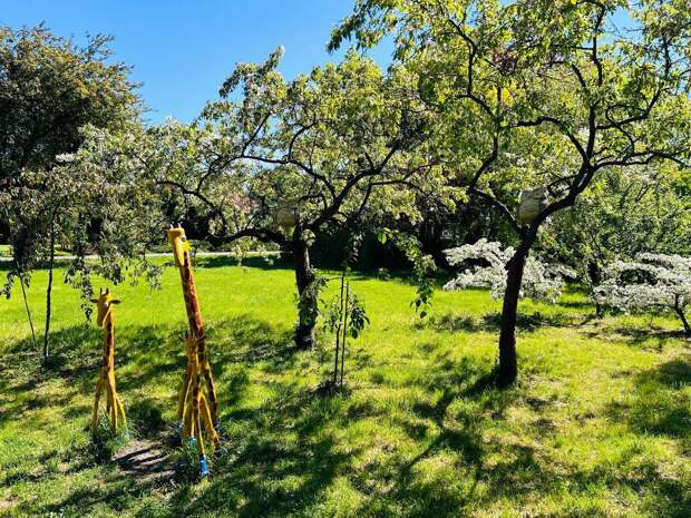 В Петербурге оштрафовали мужчину за вырубку девяти деревьев