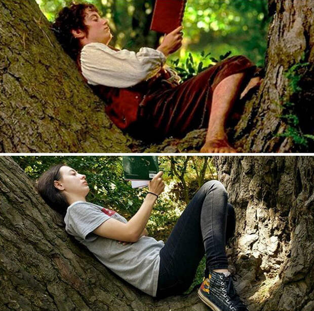 Some Casual Reading In Hobbit's Hideaway, Wellington