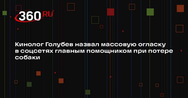 Кинолог Голубев назвал массовую огласку в соцсетях главным помощником при потере собаки