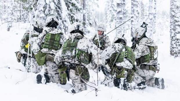 Морозоустойчивое пушечное мясо: как Финляндия готовится к нападению на Россию