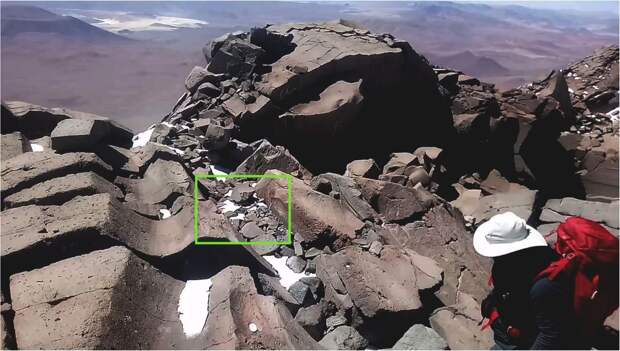 Рекорд: Желтозадых хомячков нашли на высоте 6739 метров