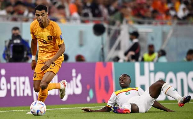 Шаманы наколдовали не то! Как невезучий Сенегал продолжил терять лидеров и отдал равный матч Нидерландам