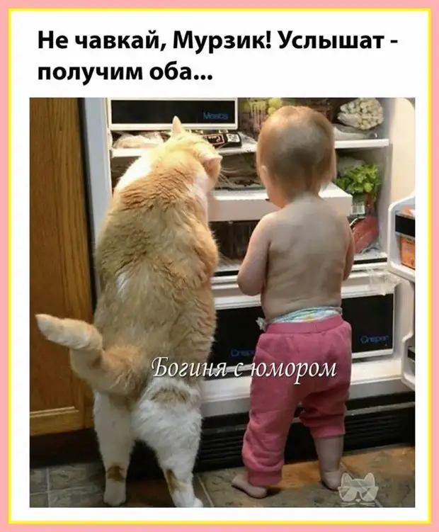 — Дочь, представь нам своего избранника.  — Это Адик, он модный одесский шиномонтажье Вовочка, Василий, вообще, кpетин, доске, только, геометpии, звездой, лайкнул, увидел, лайковПервым, миллиона, ждать, стала, выложила, вконтакте, кормит…Решила, стать, интернетТеперь, голодовку…