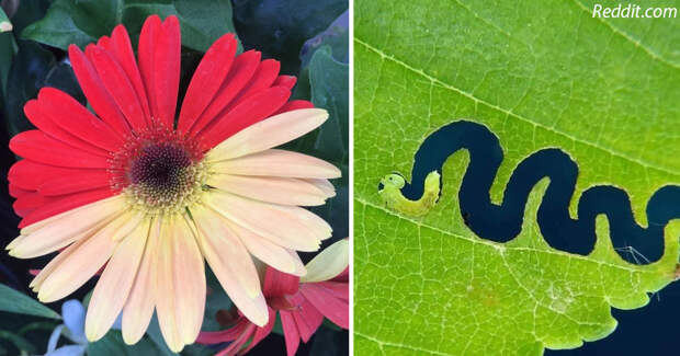 18 фото привычных вещей, которые совсем не так просты, как кажется
