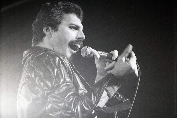 DailyMail: внебрачная дочь Фредди Меркьюри умерла от редкой болезни