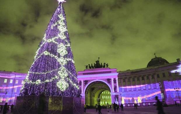 На Дворцовой площади установят живую новогоднюю ель