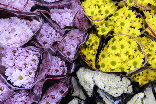 Цветы с подвохом: какие букеты лучше не дарить на 8 марта