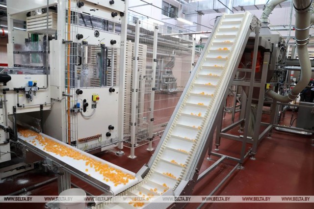 Глава ´Белгоспищепрома´: кондитерские предприятия обеспечивают 90% импортозамещающей продукции.