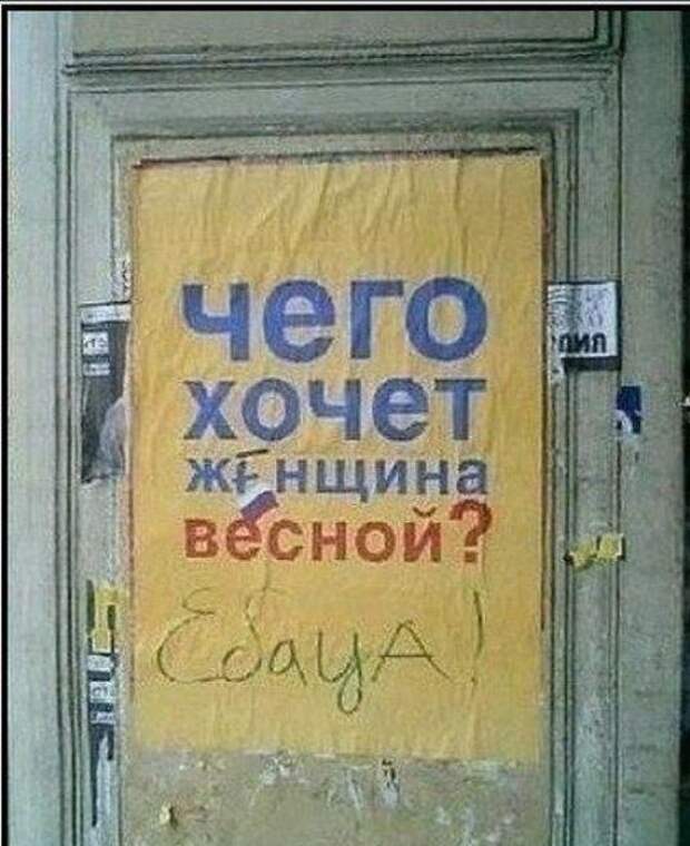 Смешные надписи и объявления  надписи, объявления, смешные, юмор