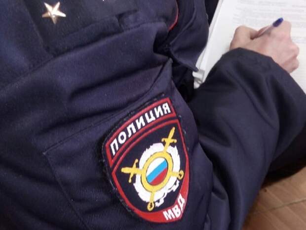 Полиция проверит деятельность блогера Поднебесного в сети Интернет