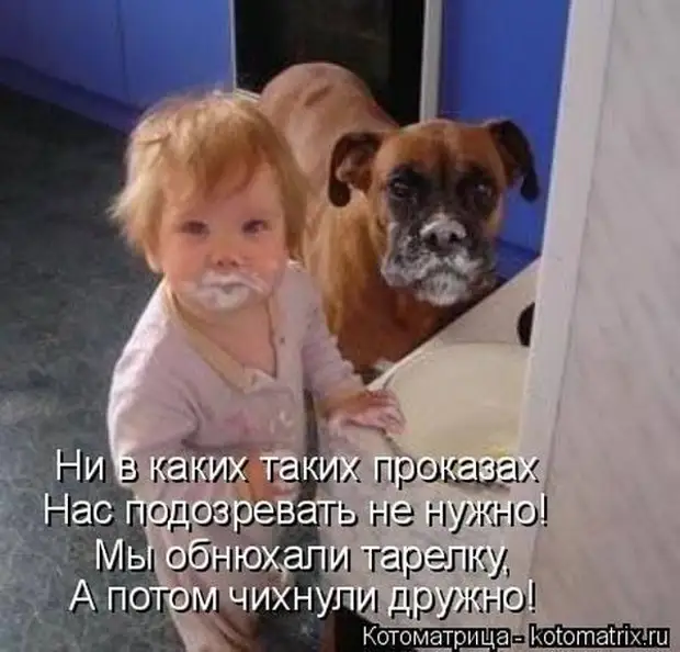 Лучшие котоматрицы