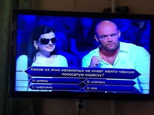 Прикольные картинки