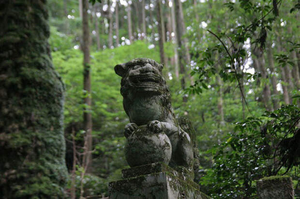 Прогулка по японскому священному лесу