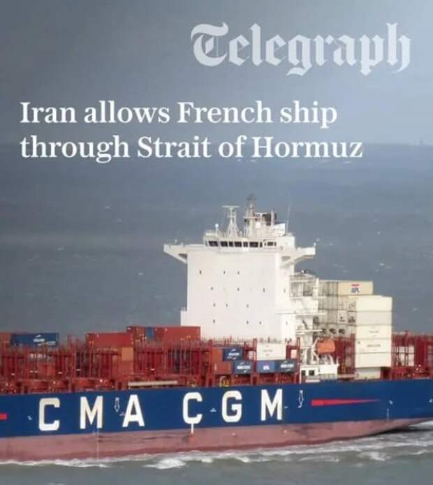 Одно судно в день - заслужила, хорошая собачка, хорошая