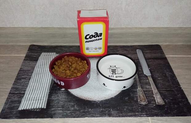 Сода помогает устранить запах застарелого корма и жир с мисок домашних питомцев / Фото: novate.ru