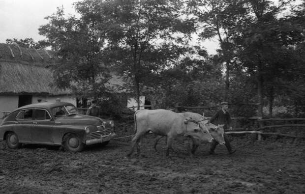 Дорога от Винницы до Теплика Семен Мишин-Моргенштерн, 1950-е, Украинская ССР, МАММ/МДФ.