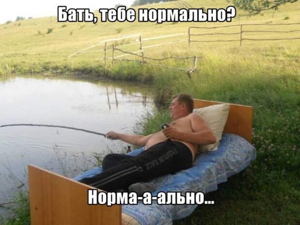 Подборка прикольных картинок