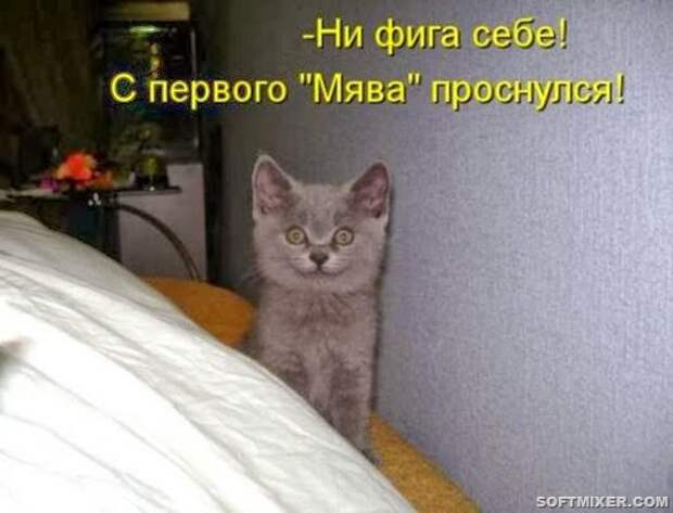 a4ab3418c3ec45158eb5ffcfdfd_prev