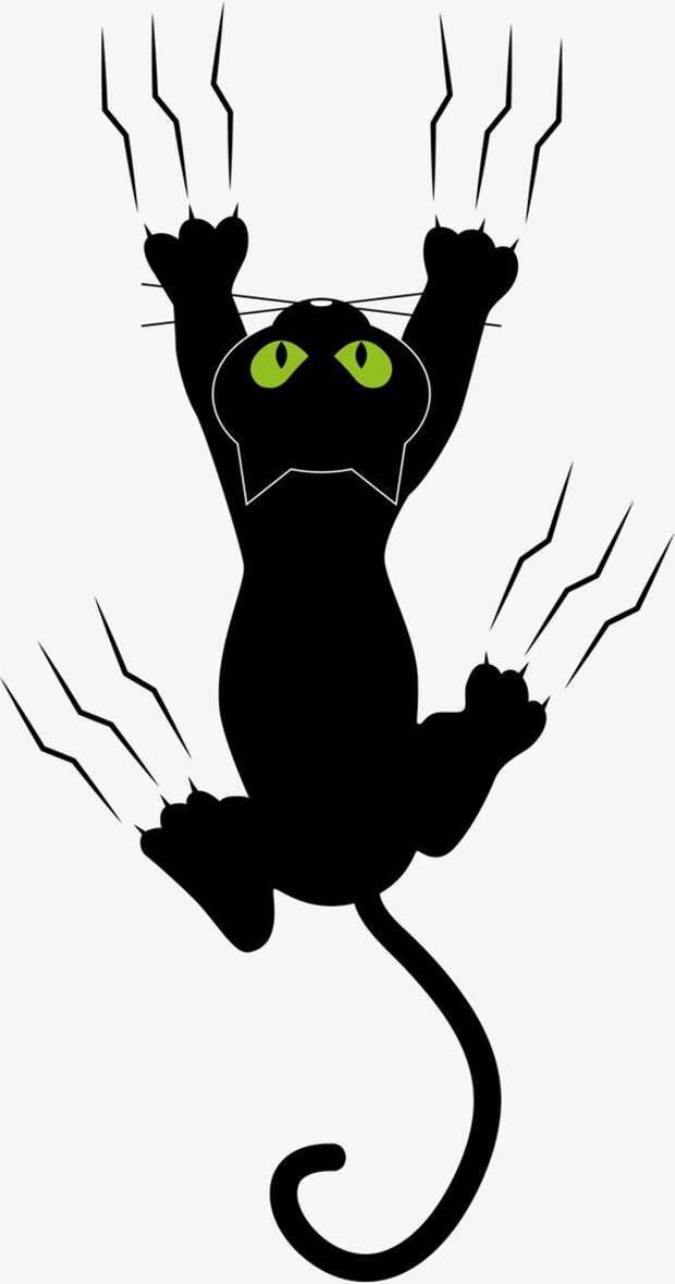 Сколько нас любителей кошек? Миллион, два, десять?-22