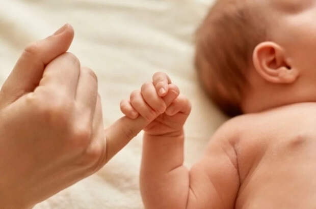 Репродуктолог Дворцов рассказал, у кого могут родиться близнецы