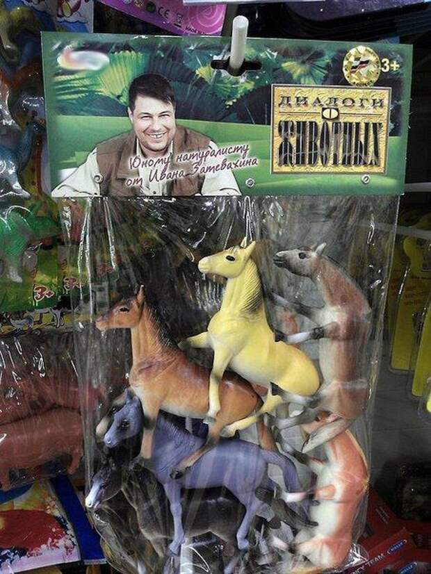 Прикольные картинки