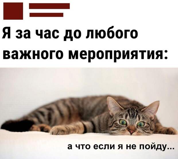 Юмор дня (23)