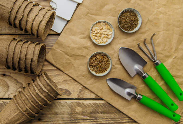 Как правильно хранить семена в домашних условиях: сроки, температура и влажность