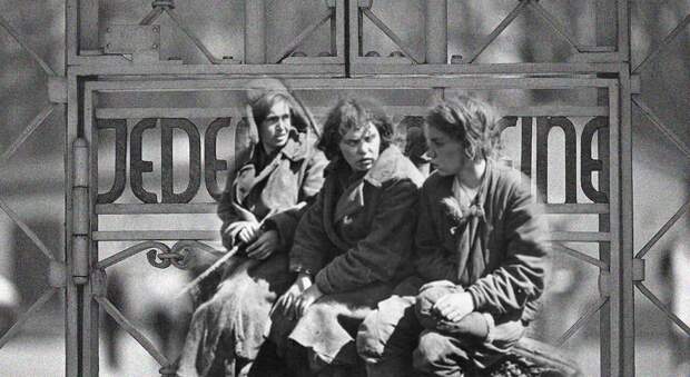 Зачем СС открыли публичные дома в 10 концлагерях — и почему об этом молчали полвека