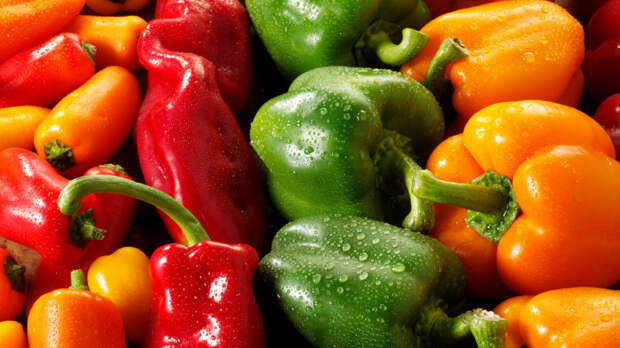 Пора сеять перец на рассаду! Как вырастить богатый урожай — пошаговая инструкция