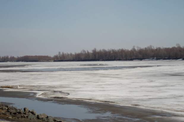 Большая вода наступает. Как Обь в Барнауле готовится освободиться ото льда