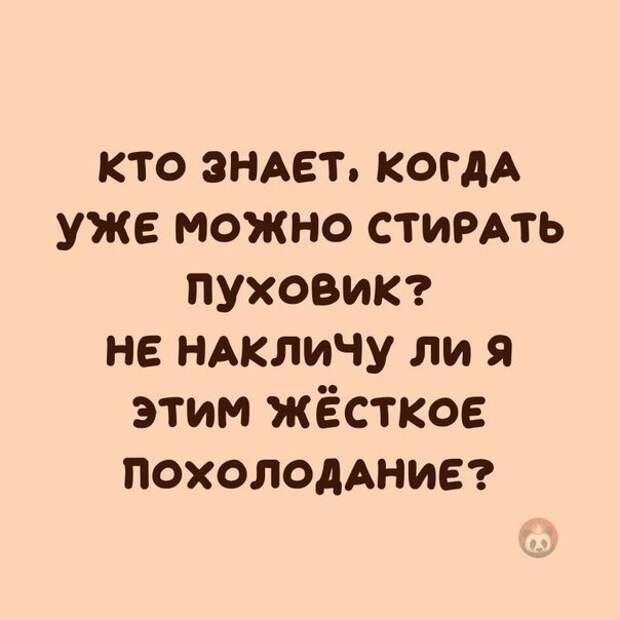 Комментарии и картинки из соцсетей