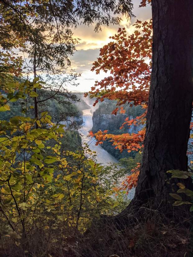 Красота природы на фотографиях