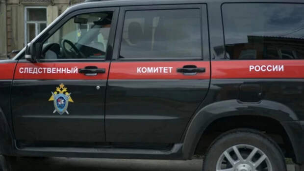 Причиной убийства иркутянкой своих детей 3 и 5 лет названы "неприязненные отношения"