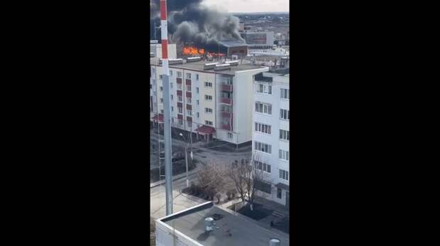 Video: com.bongasoft.addremovewatermark_VivaCut_video_1741173204076_HD.mp4