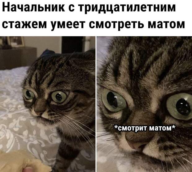 Юмор дня (9)