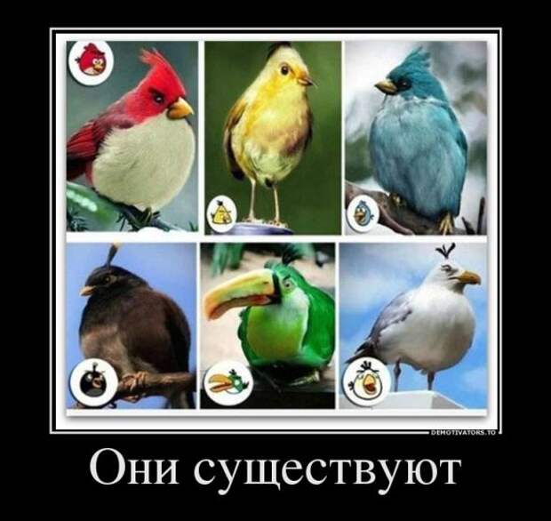 Демотиваторы