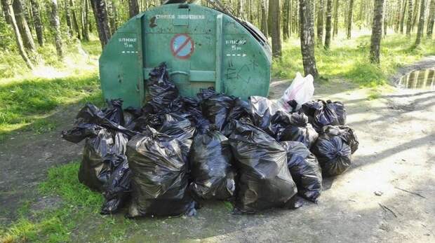 Золотые отходы: в Госдуме обсудят, кого после Нового года разорит «мусорная реформа» Золотые отходы: в Госдуме обсудят, кого после Нового года разорит «мусорная реформа»