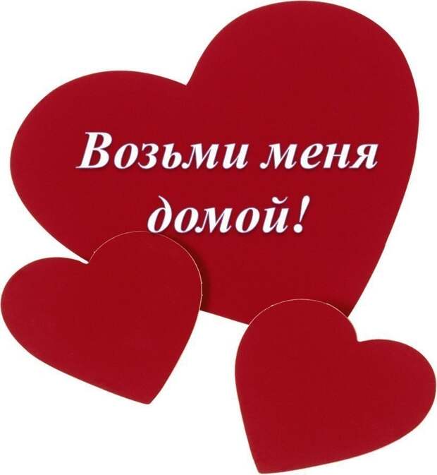 Крик о помощи!!! Малыши выживают на редеющей травке, даже негде спрятаться от непогоды...
