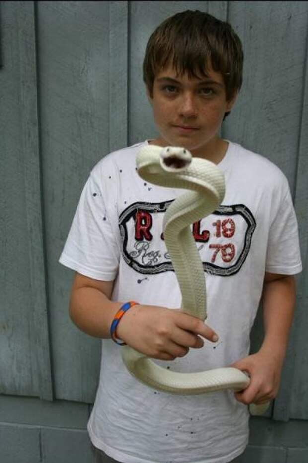 Прикольные стоп-кадры (19 шт)