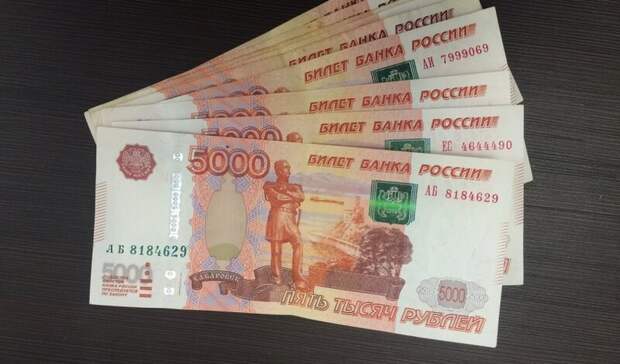 ОП РФ предложила кабмину выделить семьям субсидии на услуги нянь и аренду жилья