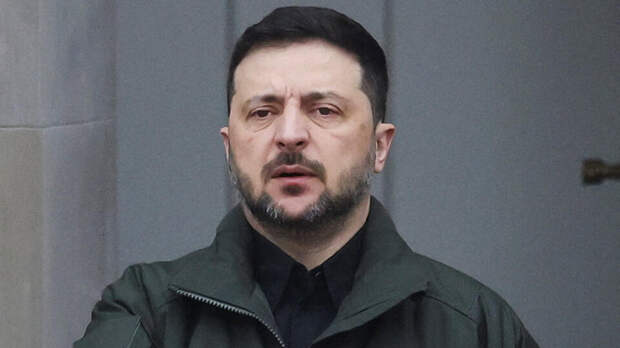 Депутат Госдумы назвал слова Зеленского о конфликте панической атакой