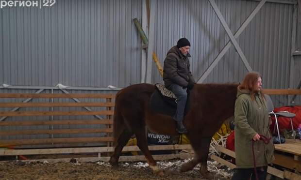 В архангельском конном клубе запустили социальный проект для пожилых людей