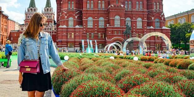 Конкурс любительских цветников охватит 1475 площадок по всей Москве. Фото: mos.ru