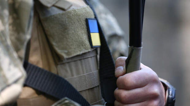 Евродепутат Картайзер: атака ВСУ на резиденцию Путина усилила отвращение Запада