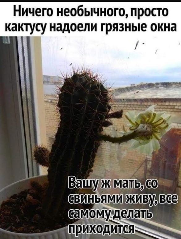 картинки с надписями ржачных (2)