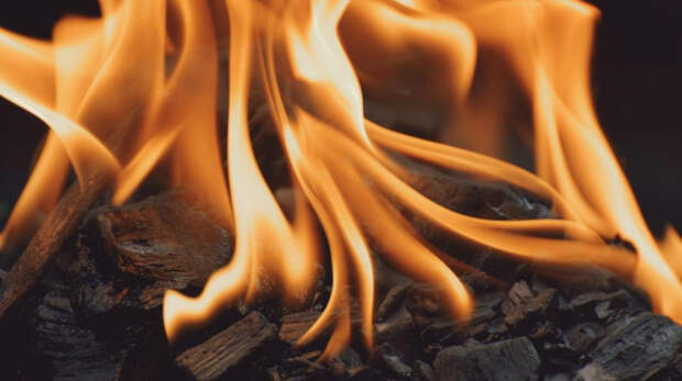 Пожар в Феодосии локализовали на площади 30 гектаров